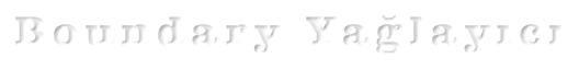 Boundary Yağlayıcı